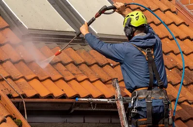 Démoussage et hydrofuge de toiture à Saulnières